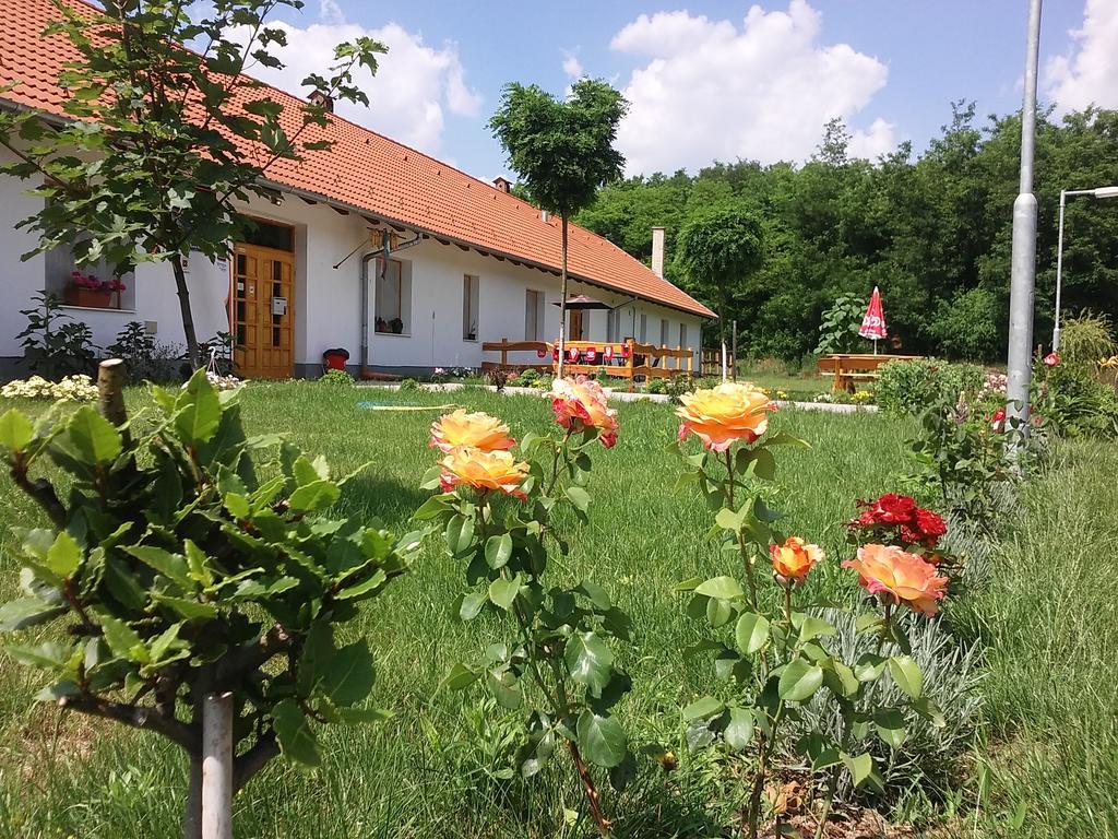 Akácliget Vendégház és Major Ofeherto Kültér fotó